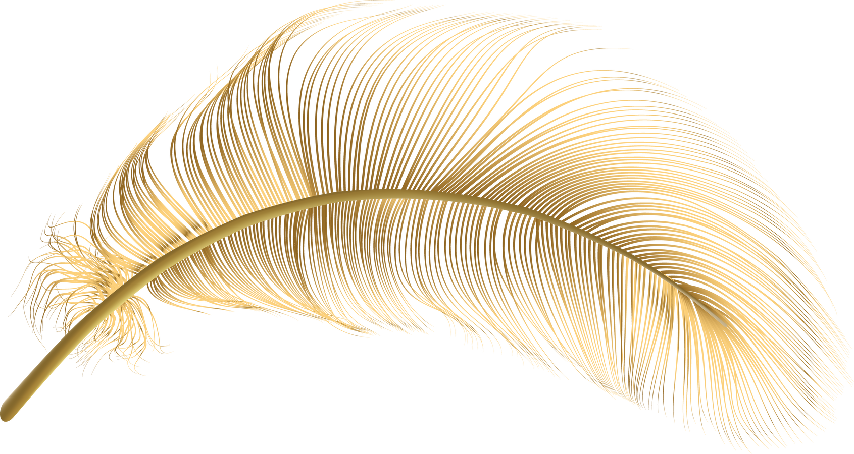 Gold feather